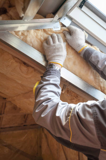 Best Insulation Maintenance and Repair in St Regis Park, KY