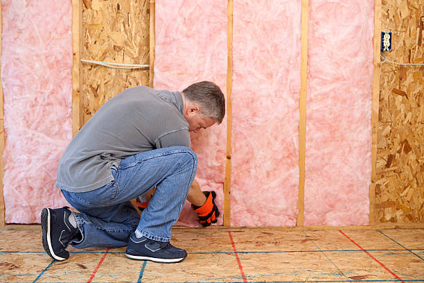 Best Insulation Installation Services in St Regis Park, KY